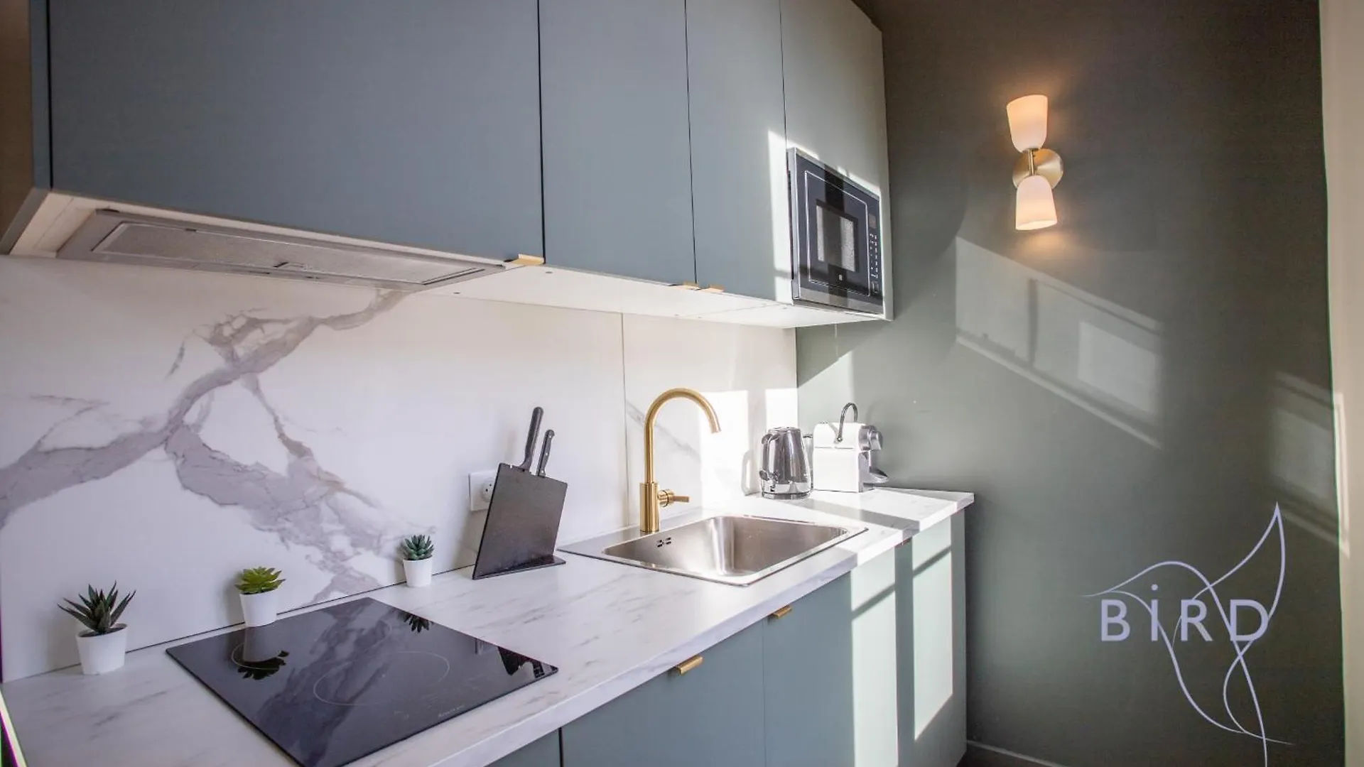 Apartment Nice Studio L'Ilette Antibes